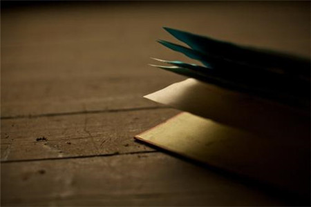 成人高考 成人高考語(yǔ)文 成人高考滿分作文練