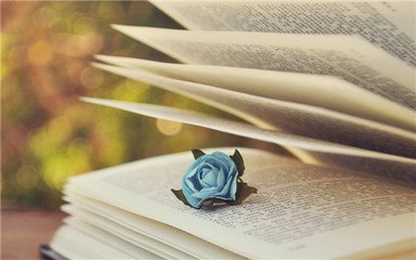 安順成考專(zhuān)升本的好處有哪些？