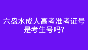 六盤水成人高考準(zhǔn)考證號是考生號嗎?